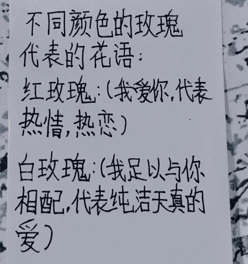闺蜜玫瑰的花语有何深层含义？