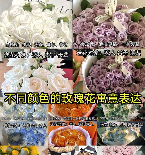 闺蜜玫瑰的花语有何深层含义？