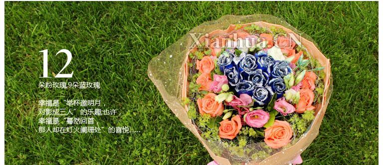燕儿飞草的花语有哪些？在送花时如何选择？