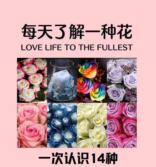 哪种花的花语最能表达深情？