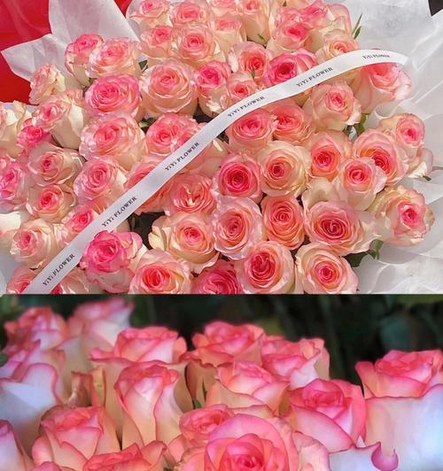 爱莎名字的花语含义是什么？