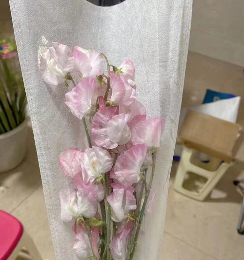哪种花代表再见的花语？