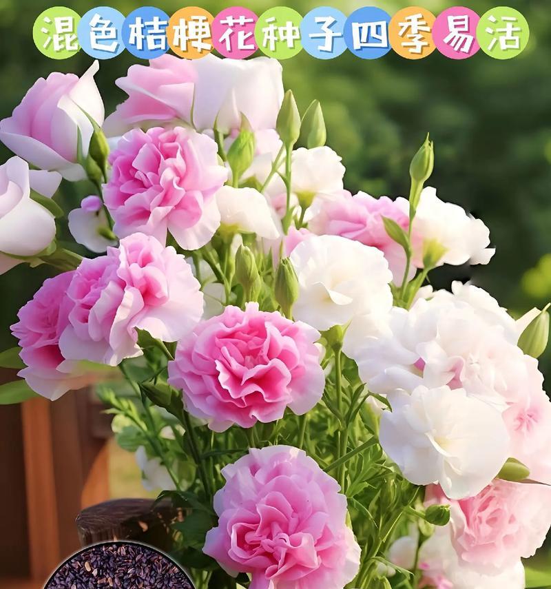 洋桔梗与茉莉的花语是什么？这两种花分别代表什么？