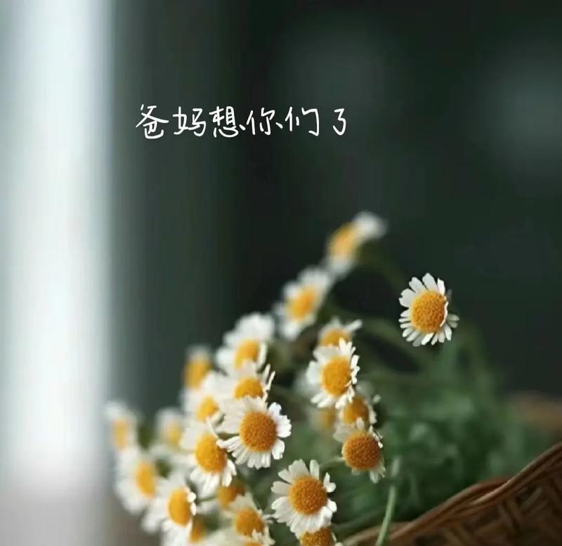 很想很想你的花语是什么？哪种花表达了深切的思念？