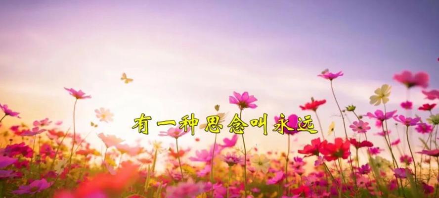 很想很想你的花语是什么？哪种花表达了深切的思念？