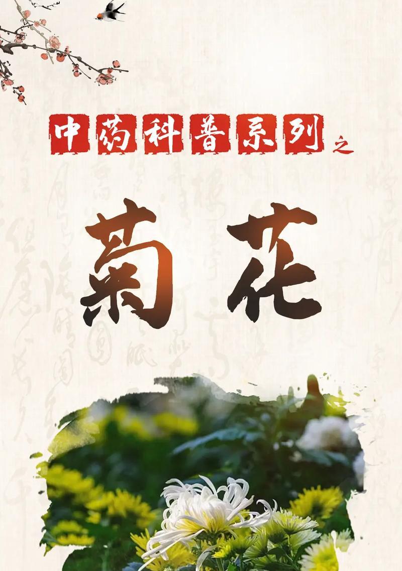 菊花在不同文化中代表什么？