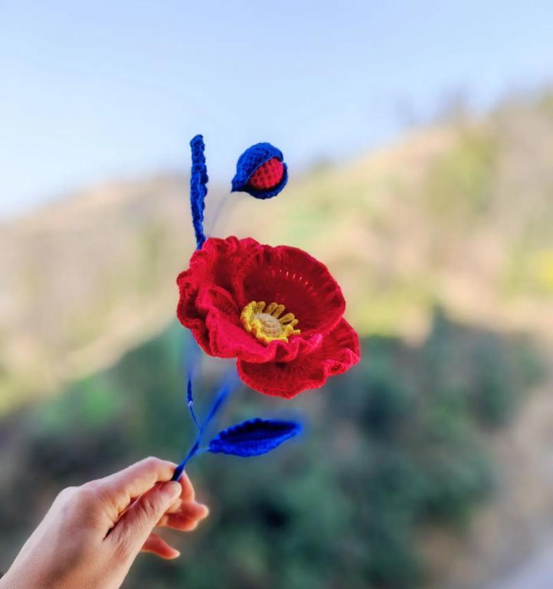 哪种花的花语是傲慢和傻笑？它们的象征意义是什么？