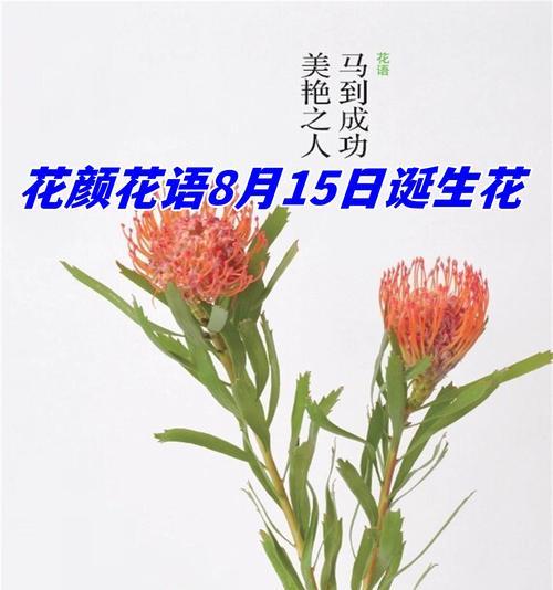 名字相关的花语是什么？它们代表了什么？