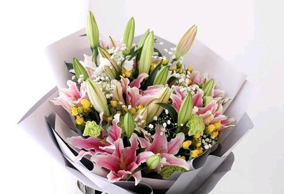 送异性朋友的花有何花语？它在友情中代表什么？