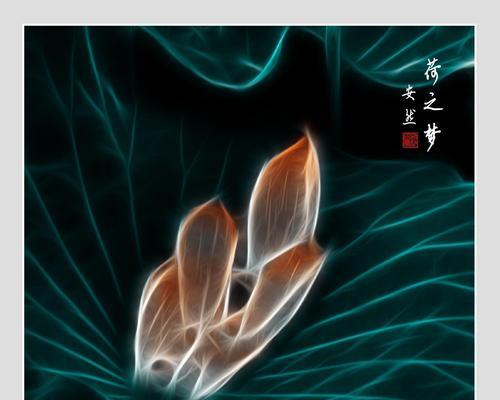 梦始之地的花语是什么？哪种花象征着梦的开始？