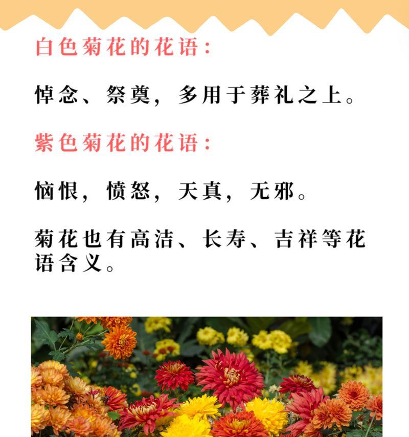 “我的花语是什么”这个梗是什么意思？它通常如何使用？