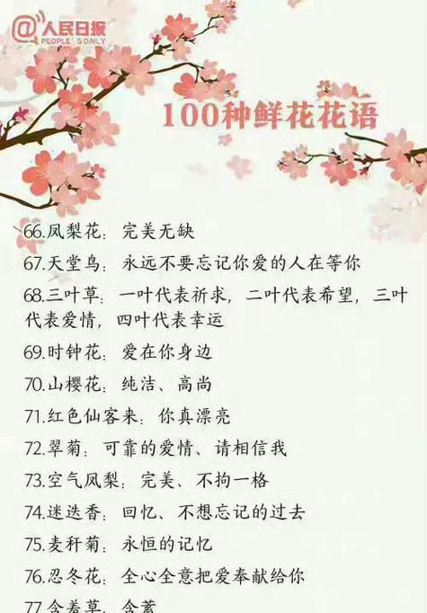 晒宝贝送花的花语有何特别含义？