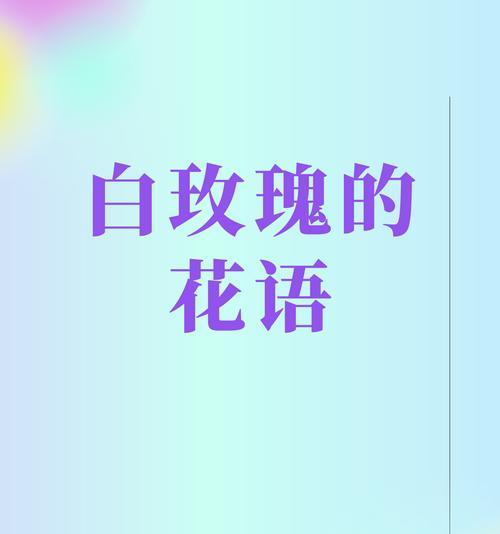 极品玫瑰的花语代表了什么？
