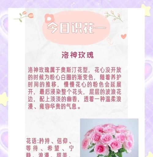 坚定的选择什么花语？哪种花象征着坚定的选择？