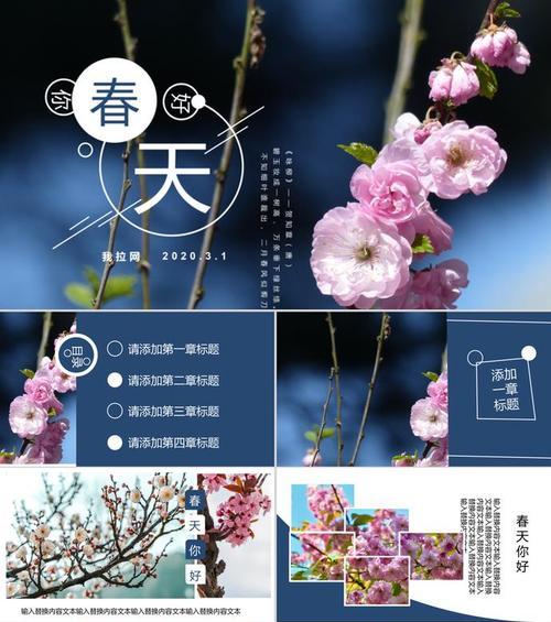 新春花语有哪些新变化？