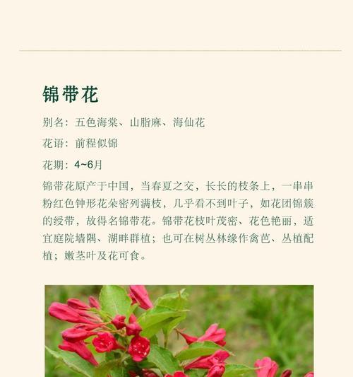 海棠花有哪些种类及其花语？