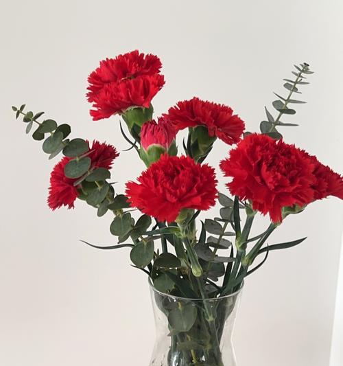 十一朵蓝冰玫瑰的花语是什么？它有何特别意义？