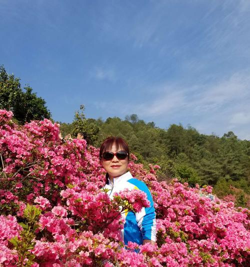 白茶花蓝色的花语是什么？蓝色白茶花有何寓意？