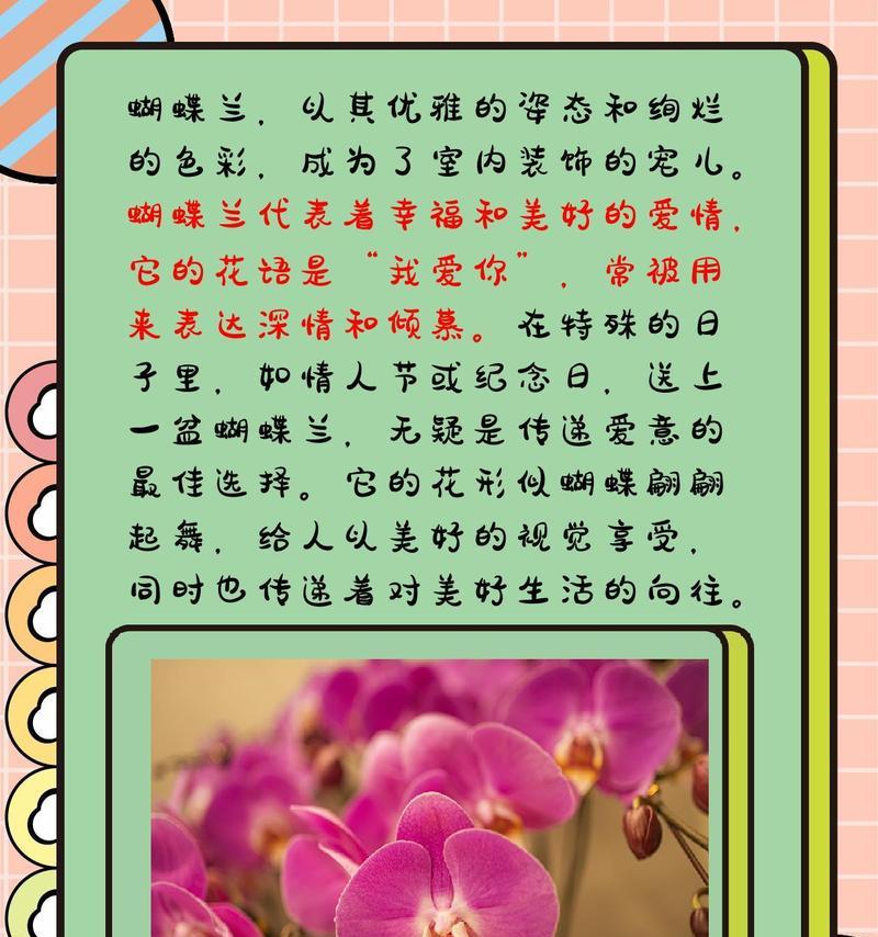 背后之爱的花语代表什么？
