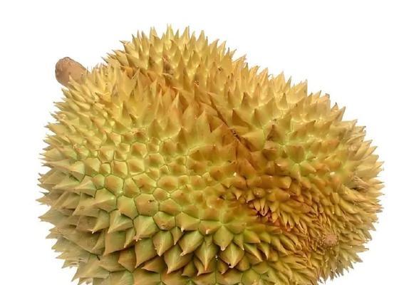 荔枝榴莲的花语有何特殊含义？它们代表了什么？