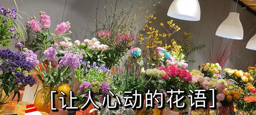 纪念重逢的花语有何深层含义？