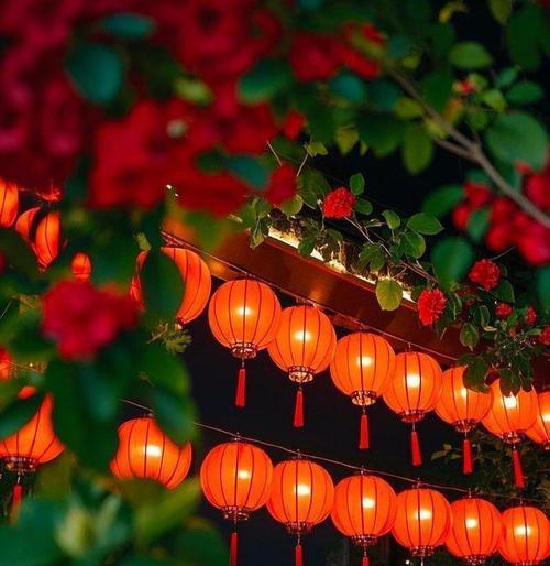 万家灯火过年的花语代表了什么？