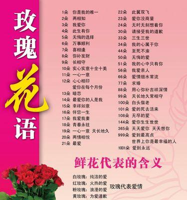 蓝黑玫瑰花语代表了什么？
