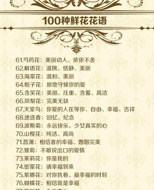 秋天飘雪的花语代表什么含义？