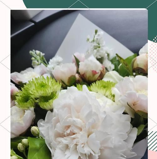 芍药花语及其养护方法是什么？
