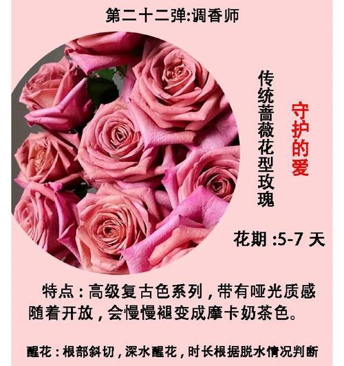沉稳的爱的花语是什么意思？哪种花代表了深沉稳定的爱情？