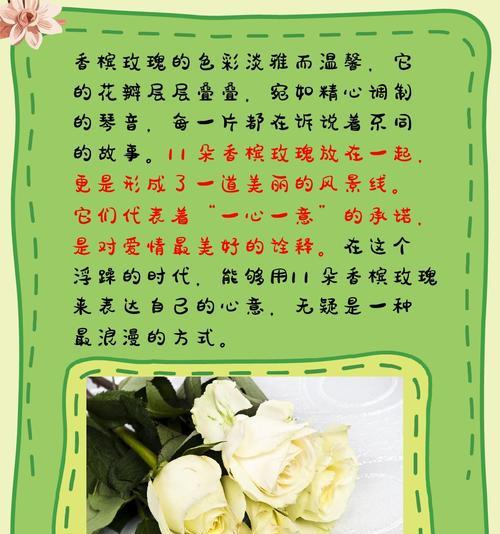 路易玫瑰的花语有何特别之处？