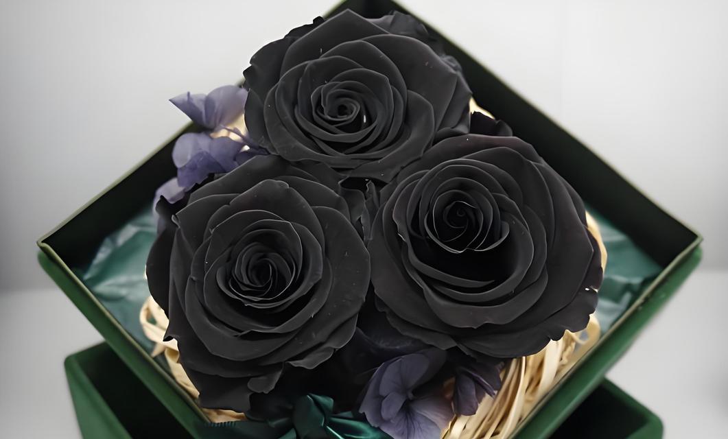 两束粉玫瑰代表的花语是什么？
