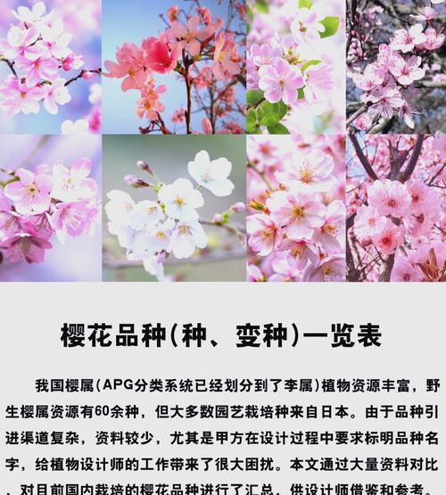 樱花和桃花的花语分别是什么？