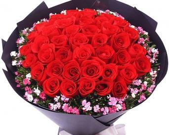 555朵花的花语代表什么？