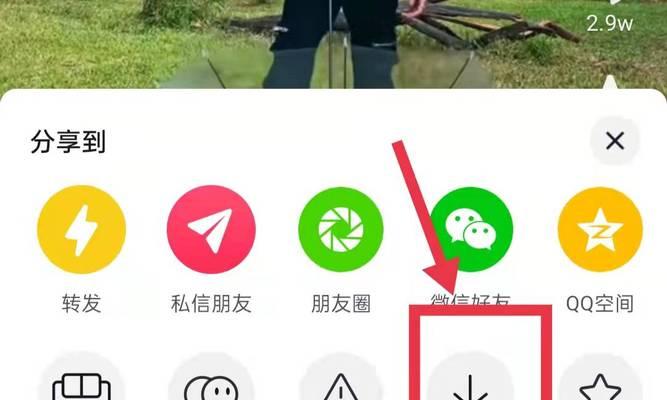 花语呢喃app的口令是什么？如何获取这个app的口令？