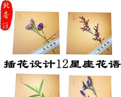 送甘蔗的花语代表了什么意义？