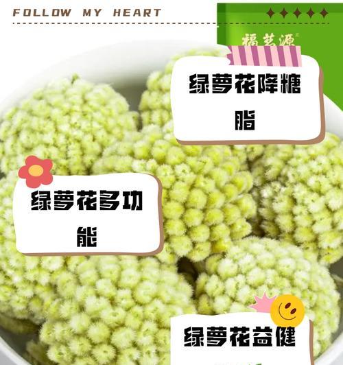 绿萝的花语品种有哪些？它们各自代表什么？