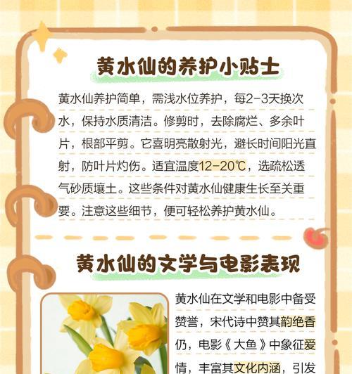 水仙花四瓣代表什么含义？花语有哪些独特之处？