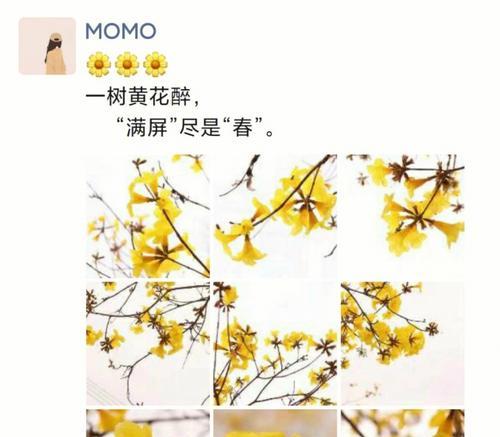 感谢宝贝女儿应该选择哪种花语？女儿喜欢的花语有哪些？