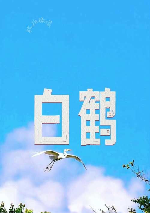 白鹤兰花语代表了什么寓意？