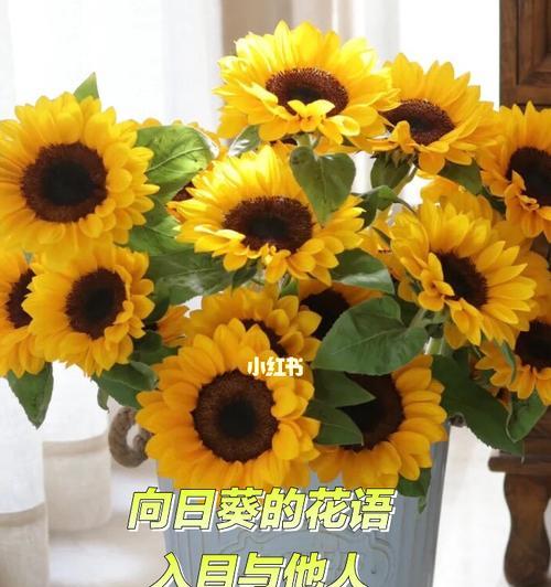 哪种花的花语代表了害羞的爱？
