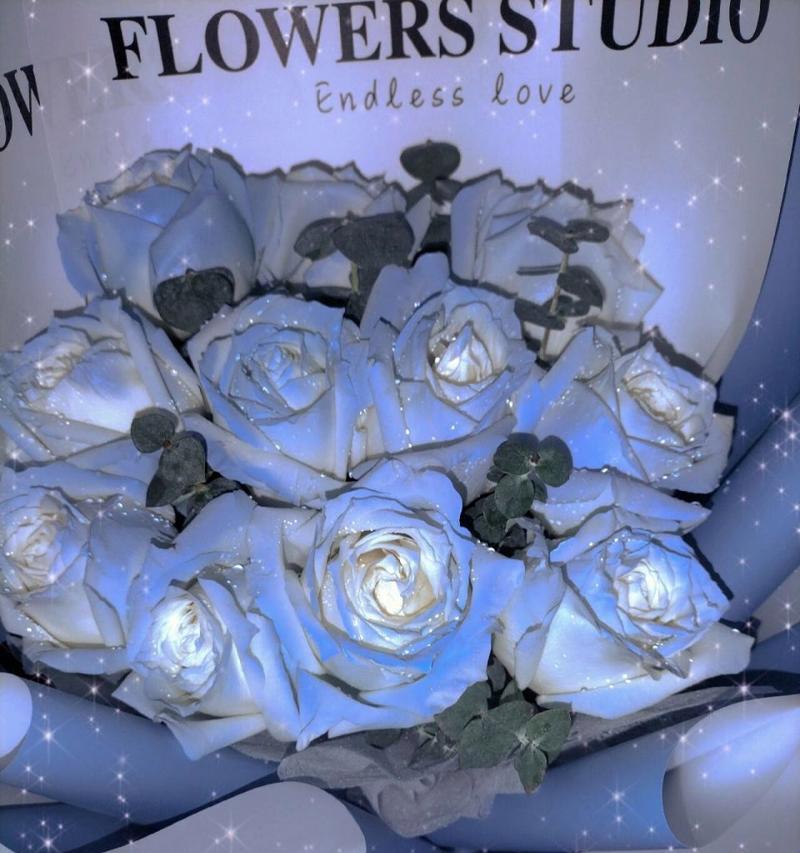 翠冰蓝玫瑰的花语有何深意？