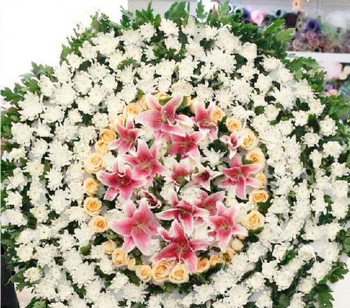 白菊花花语是什么意思？为何常用于哀悼场合？