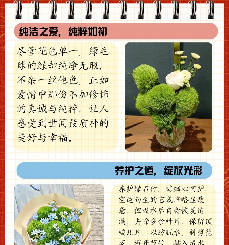 什么花语代表成长？让人成长的花语有哪些？