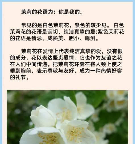 花上写花语的诗句有哪些？如何用诗句表达花语？