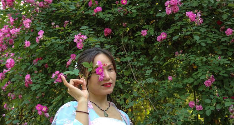 野蔷薇花语是什么？寓意解释有哪些？