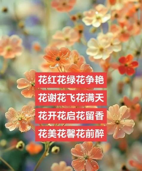 绿花的花语代表什么？如何用绿花表达情感？