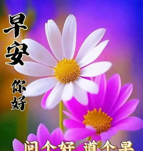 早日找到如意郎君的花语是什么意思？