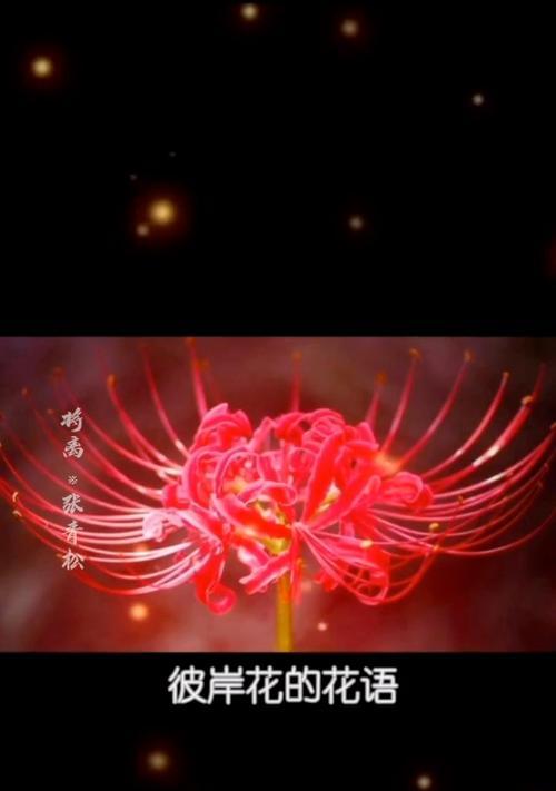你是我的救赎的花语是什么？它代表了哪种情感？
