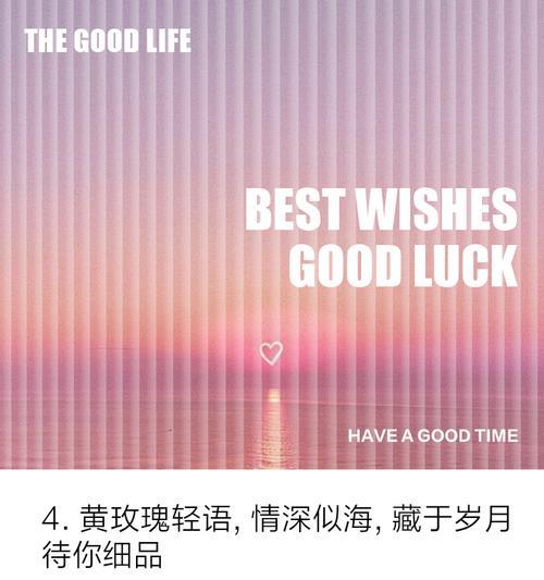黄色玫瑰花的花语是什么？它传递了哪种情感？